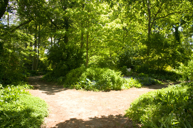 Beth Chatto Garden